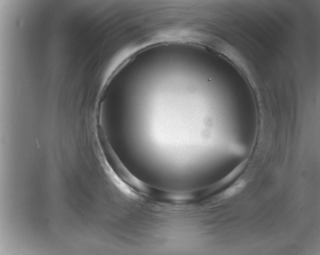X0000081481344200701191822
