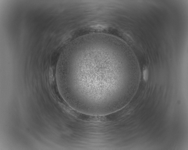 X0000081481347200701191822