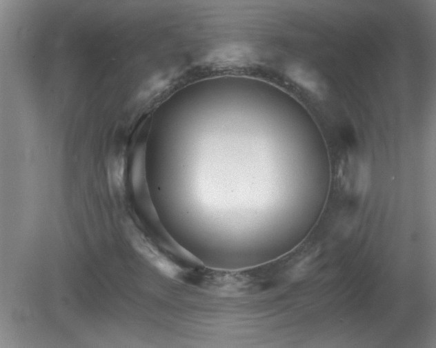 X0000081481348200701191822
