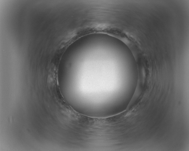 X0000081481349200701191822