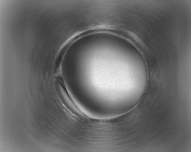 X0000081481356200701191821