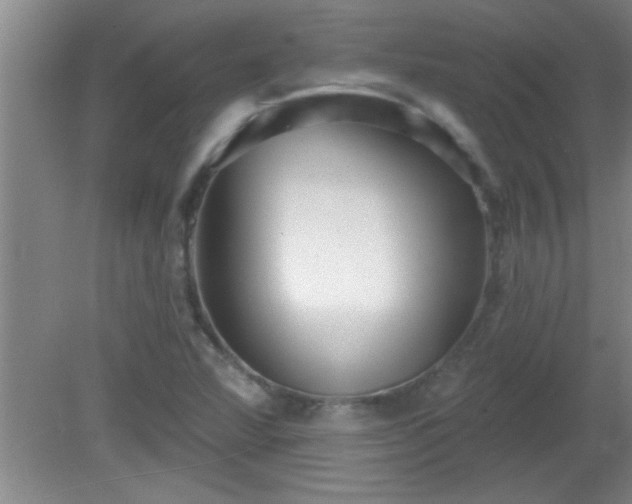 X0000081481360200701191821