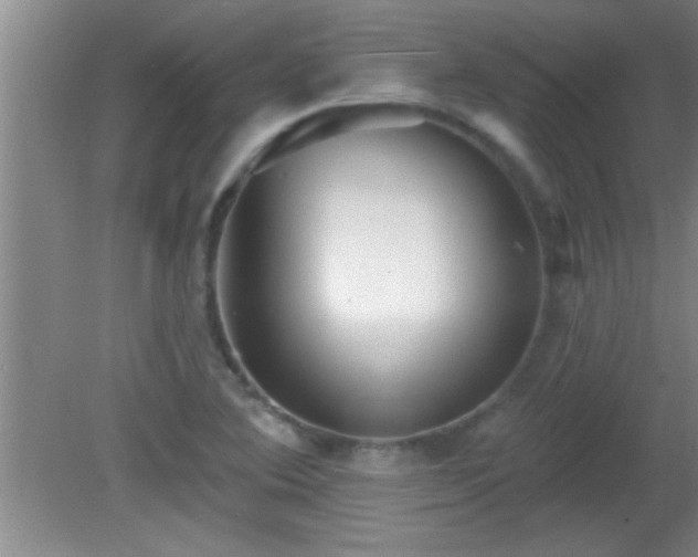 X0000081481364200701191821
