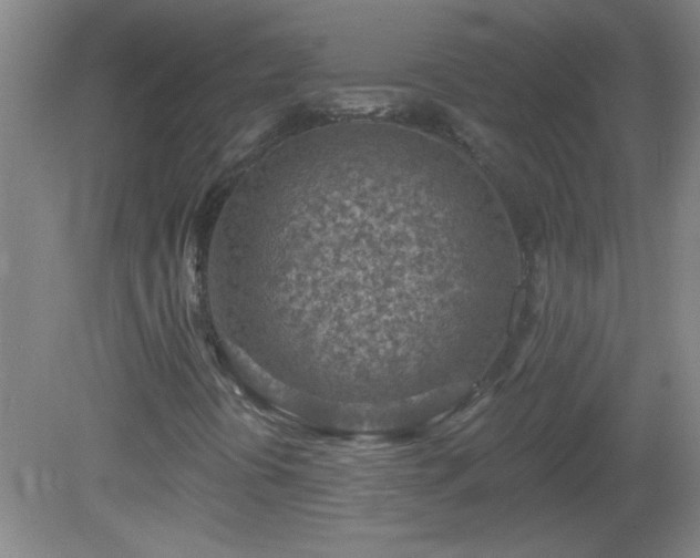 X0000081481394200701191820