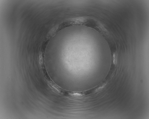 X0000081481395200701191820
