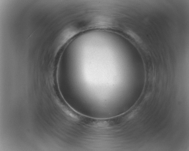 X0000081481410200701191820