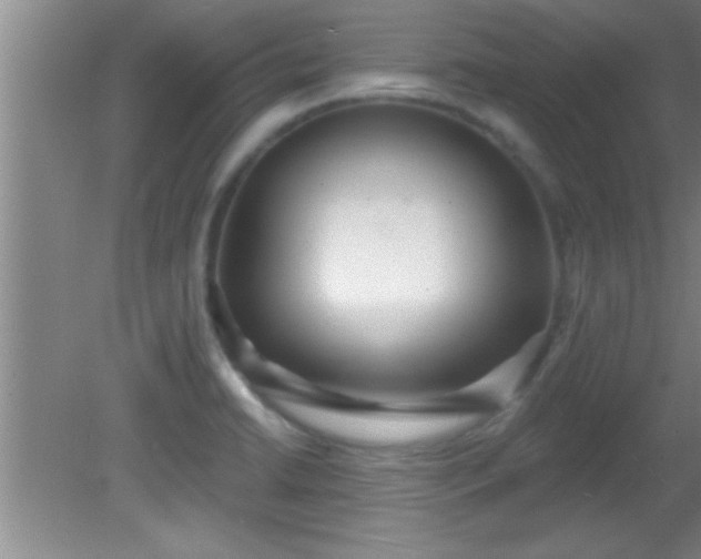 X0000081481422200701191821