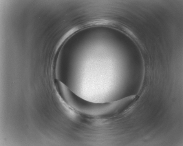 X0000081481426200701191821