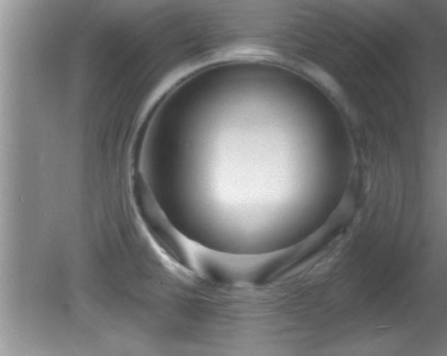 X0000081481430200701191821