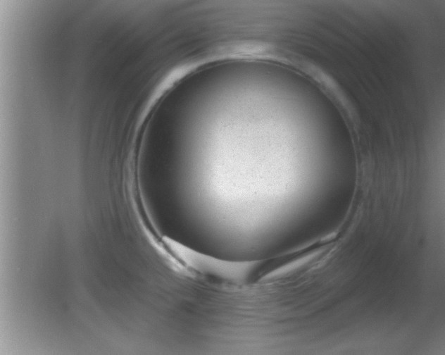 X0000081481432200701191821