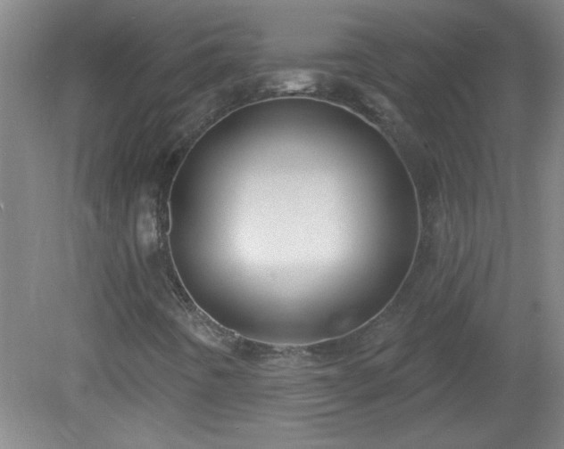 X0000081481442200701191820