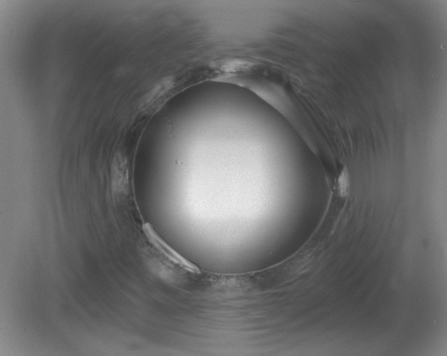 X0000081481443200701191820