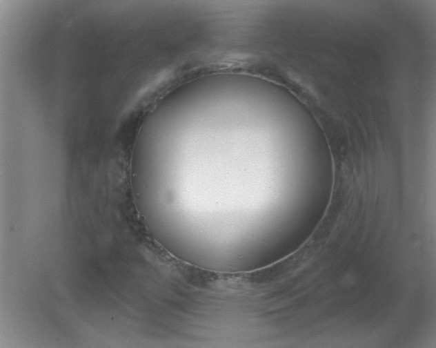 X0000081481447200701191820