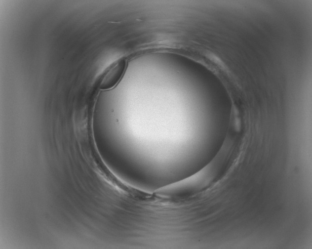 X0000081481450200701191820