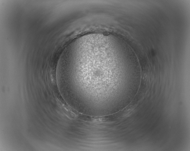 X0000081481490200701191818