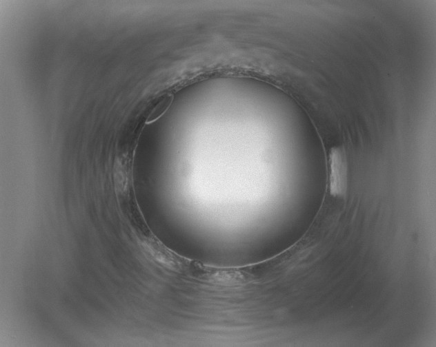 X0000081481491200701191818