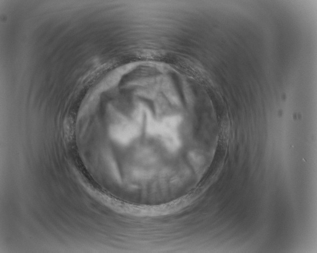 X0000081480043200701262039