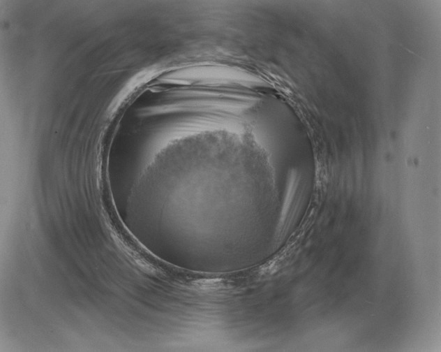 X0000081480054200701262038