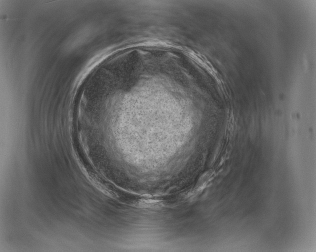 X0000081480055200701262038