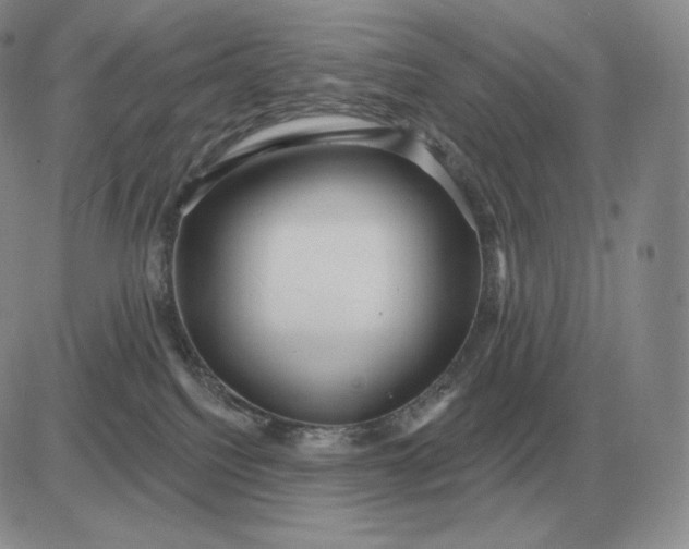X0000081480088200701262039