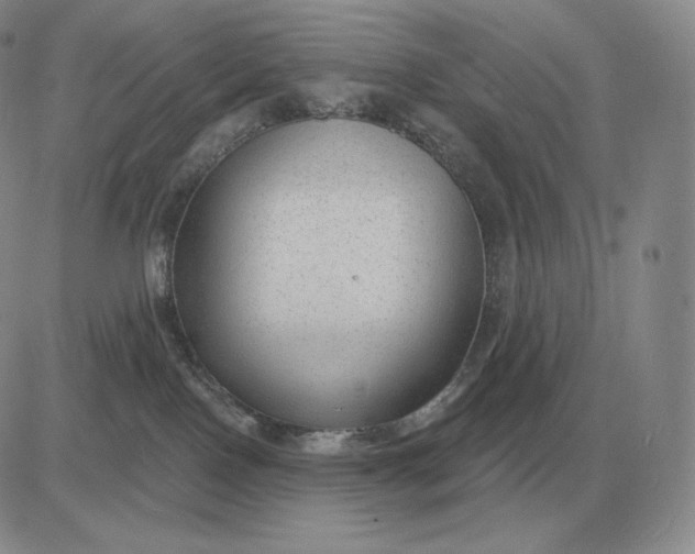 X0000081480090200701262039