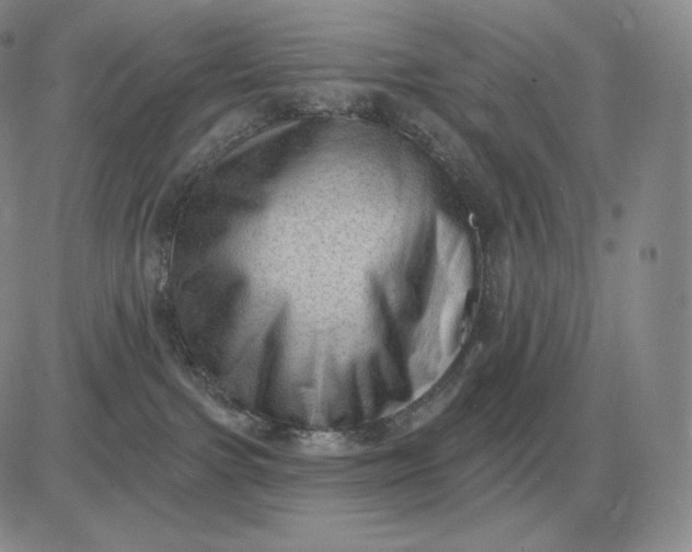 X0000081480091200701262039