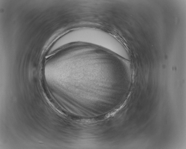 X0000081480101200701262038