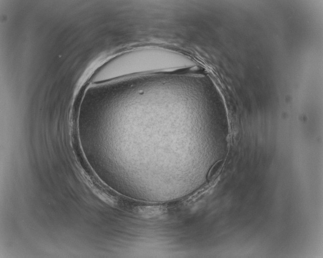 X0000081480102200701262038