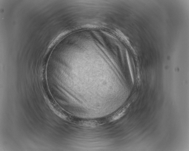 X0000081480106200701262038