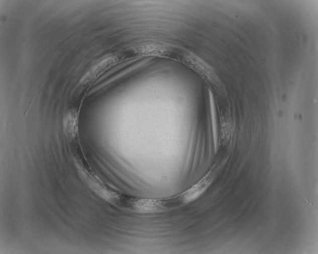 X0000081480142200701262037