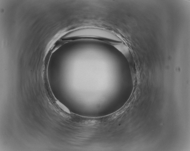 X0000081480152200701262037