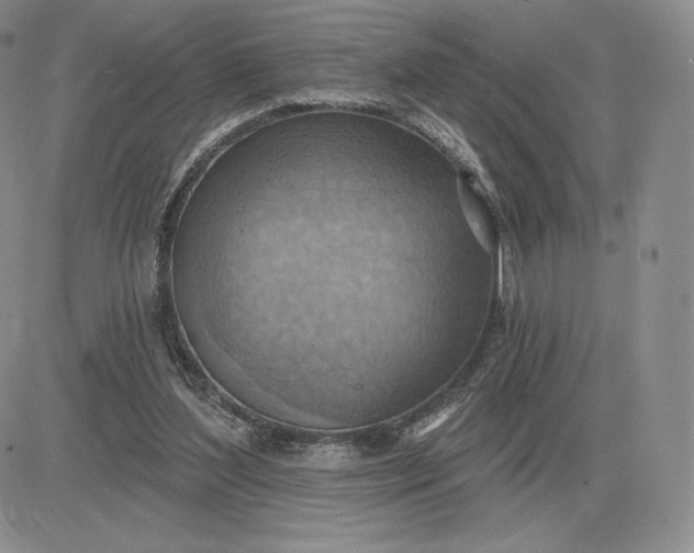 X0000081480204200701262036