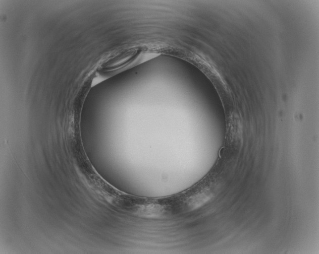X0000081480212200701262036
