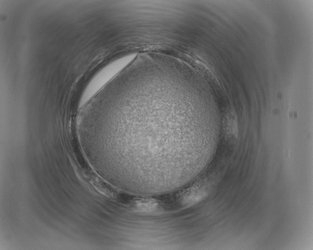 X0000081480214200701262036