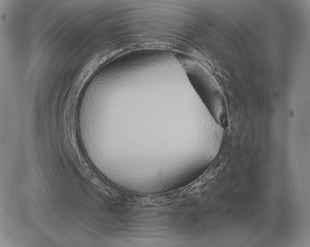 X0000081480241200701262035