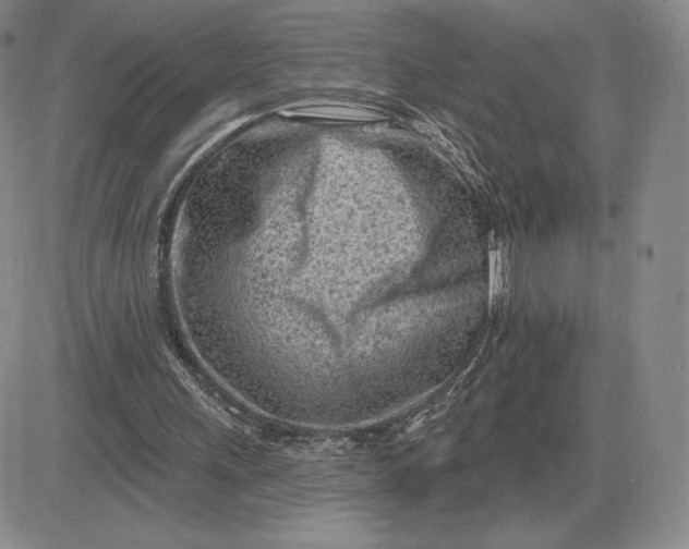 X0000081480243200701262035