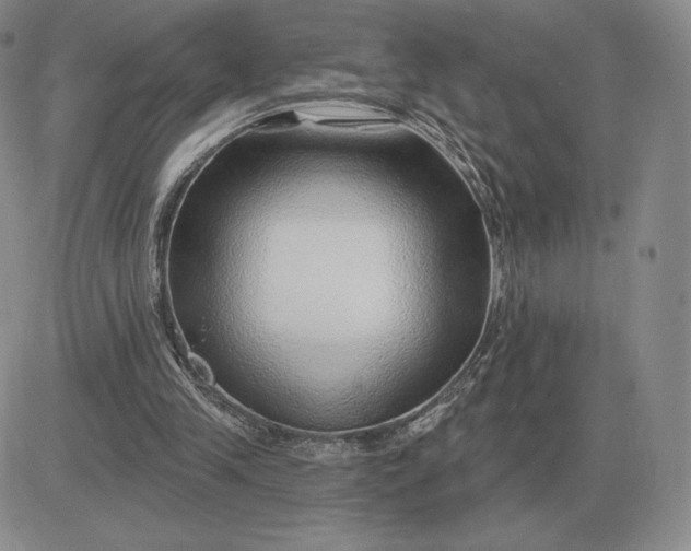 X0000081480245200701262035