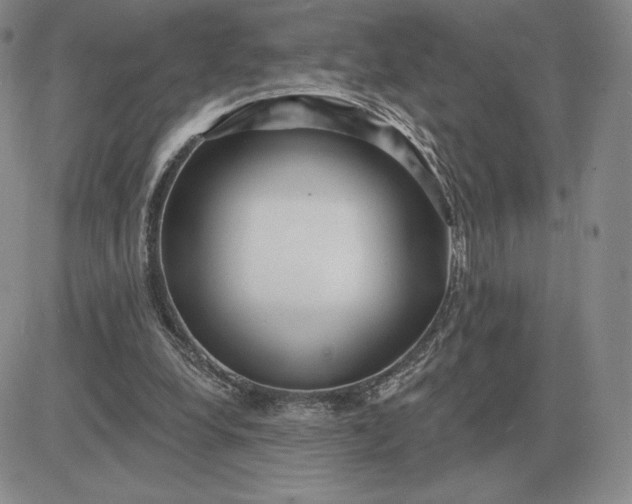 X0000081480248200701262035
