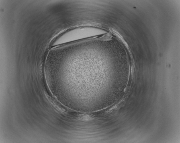 X0000081480249200701262035