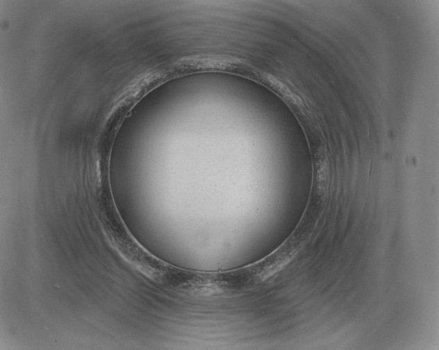 X0000081480254200701262035