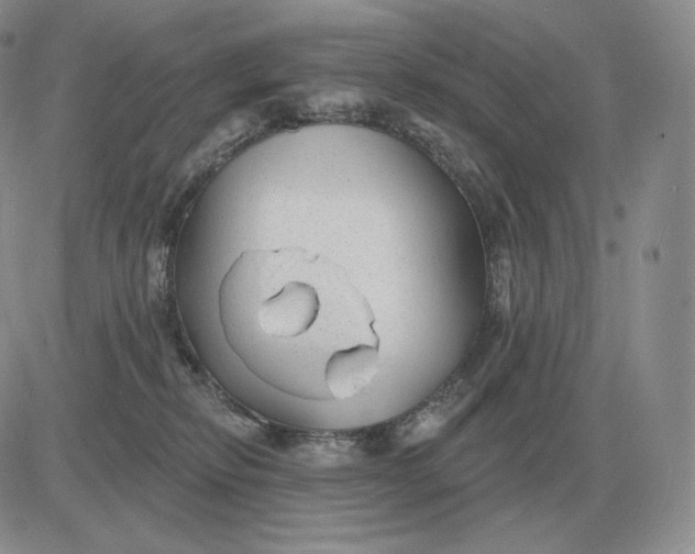 X0000081480278200701262035