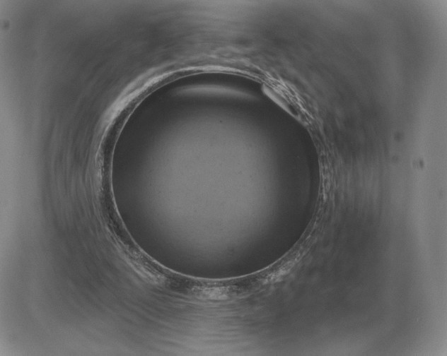 X0000081480295200701262035