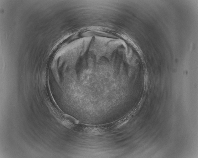 X0000081480297200701262035