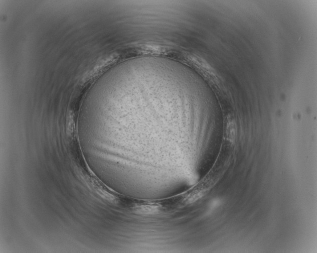 X0000081480318200701262034