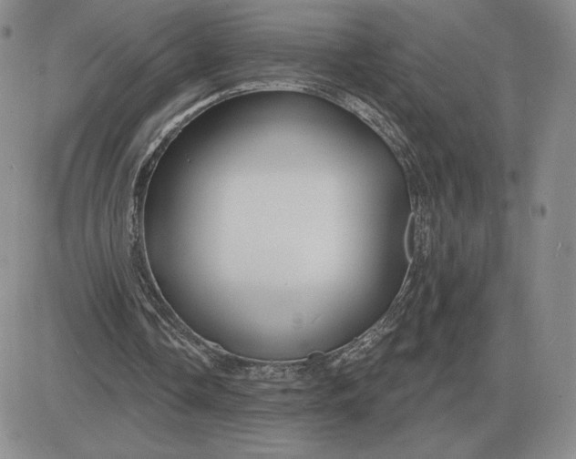 X0000081480338200701262033
