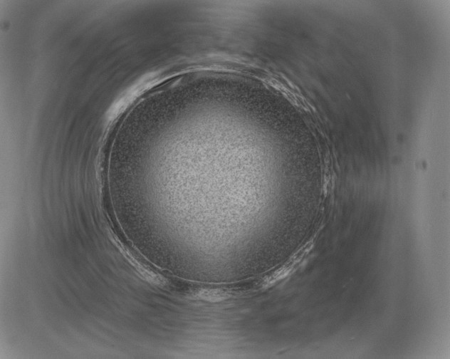 X0000081480341200701262033