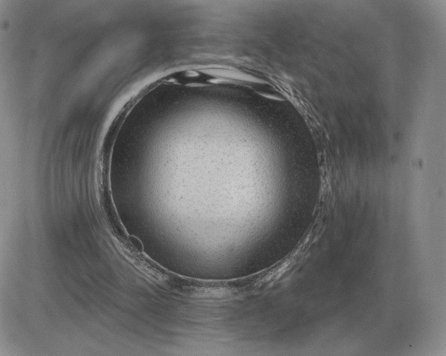 X0000081480342200701262033