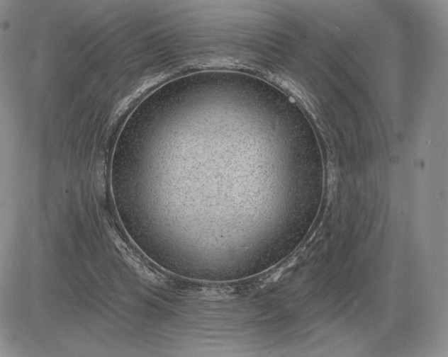 X0000081480345200701262033