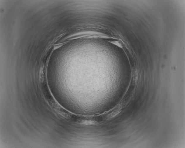 X0000081480360200701262034