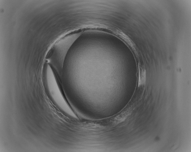 X0000081480387200701262033
